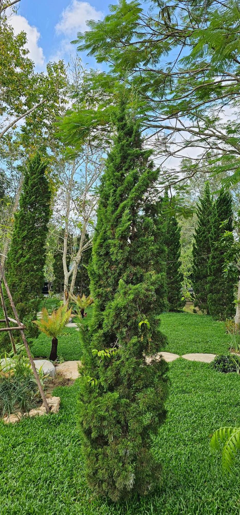 Homdoiintr Farmstay ฮ่อมดอยอินทร์ ฟาร์มสเตย์ Ban Huai Kaeo Экстерьер фото