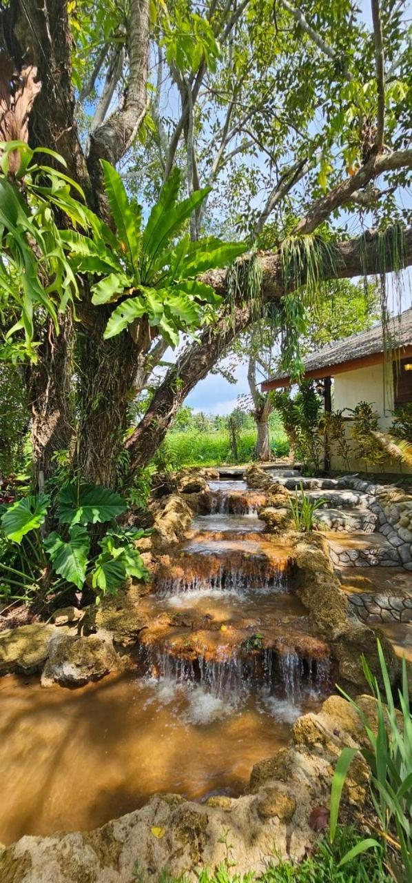 Homdoiintr Farmstay ฮ่อมดอยอินทร์ ฟาร์มสเตย์ Ban Huai Kaeo Экстерьер фото